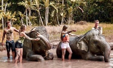 Elephant Mud Fun