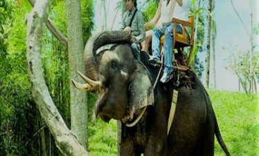 Elephant Expedition with Zoo Experience