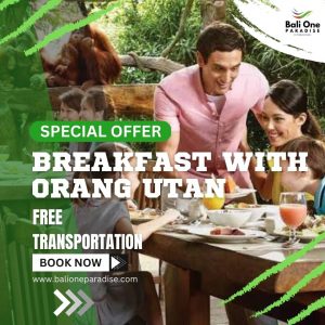 breakfast with orang utan