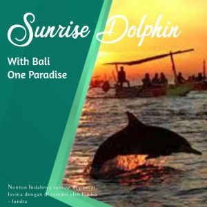 sunrise dolphin