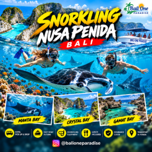Snorkeling Nusa Penida